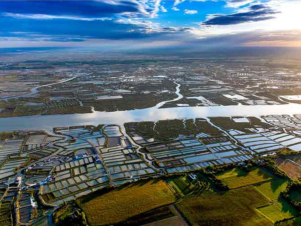 (17) Base Ulm de Corme-Ecluse  - image 6