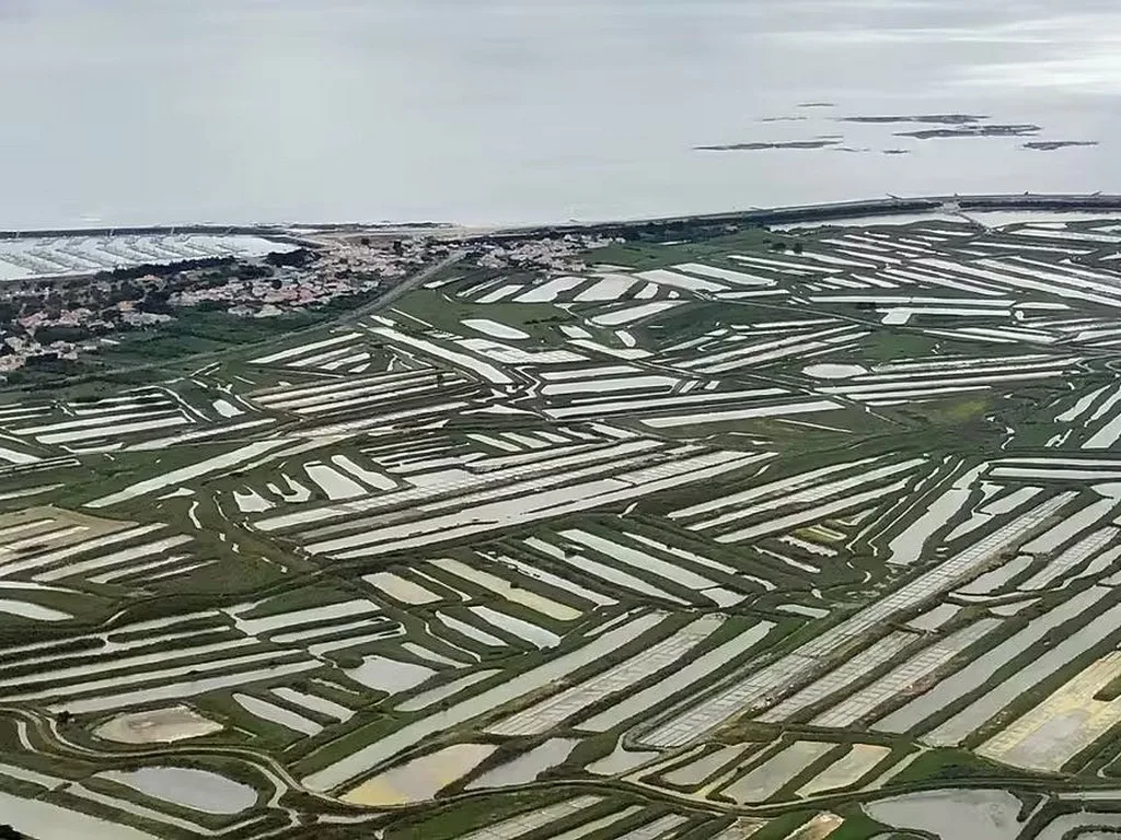 (44) Aéroport de Saint Nazaire - image 5