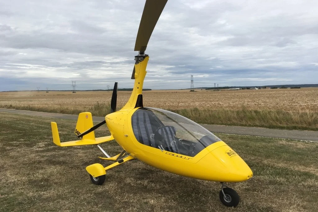 Base Ulm de Thoiry 1-calidus