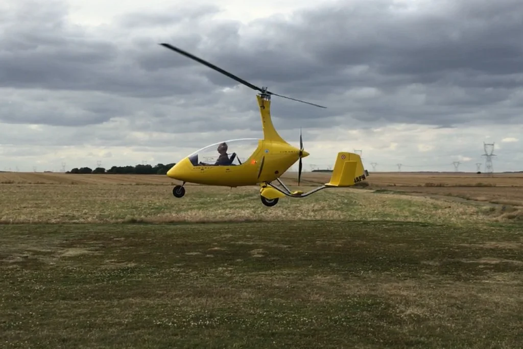 Base Ulm de Thoiry calidus