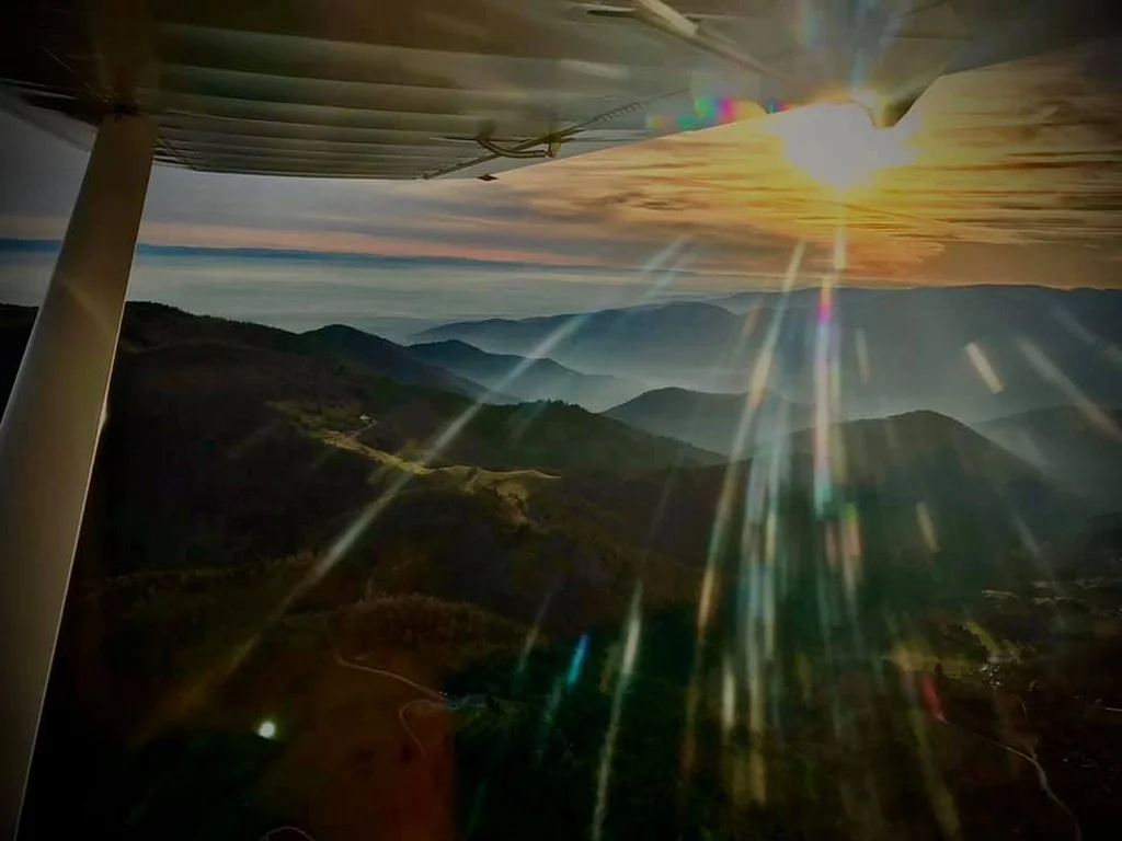  Aérodrome de Mulhouse-Habsheim 81636377