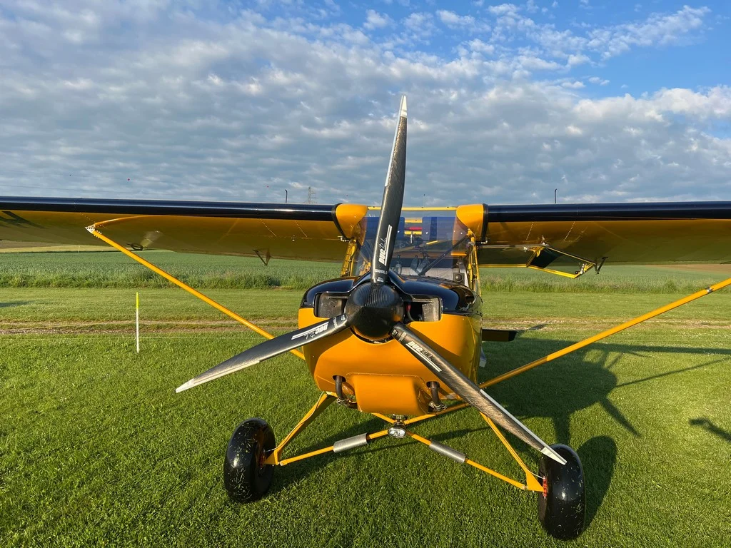  Aérodrome de Mulhouse-Habsheim tetras